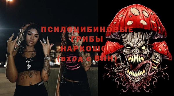 гидропоника Богородицк