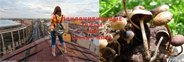 тгк Богородск
