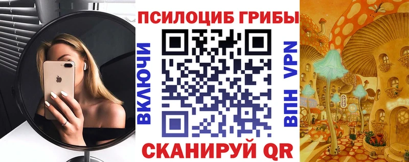 Псилоцибиновые грибы прущие грибы  Чапаевск 